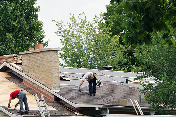 Roof Gutter Cleaning in Lehi, UT